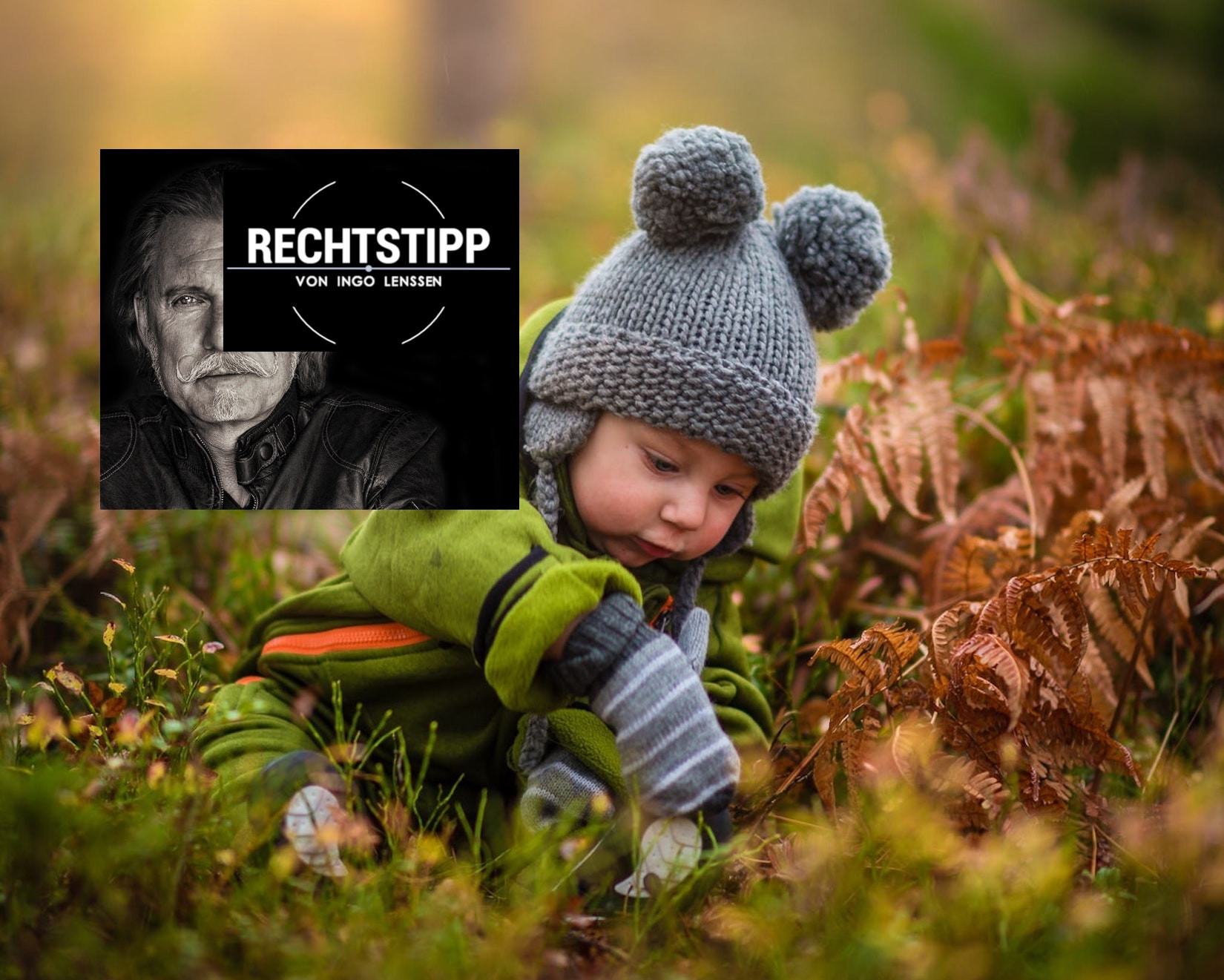 Baby-Gras-Herbst _pexels